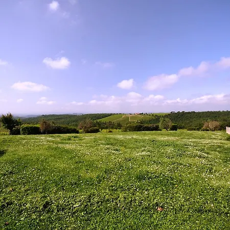 Ca' Del Pazzo Castelnuovo Berardenga